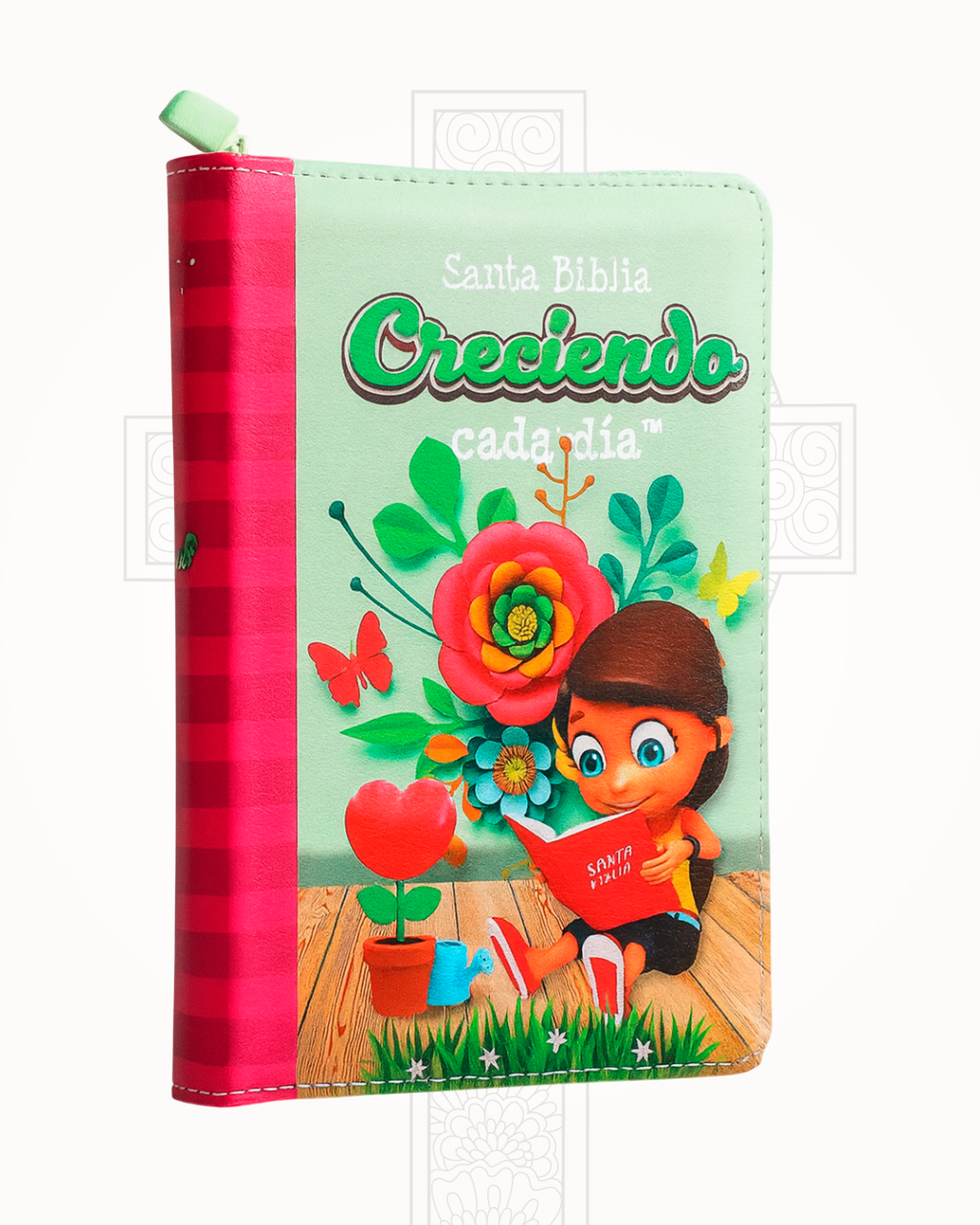Biblia Reina Valera 1960 Rosa y Verde Letra Grande 12 pts